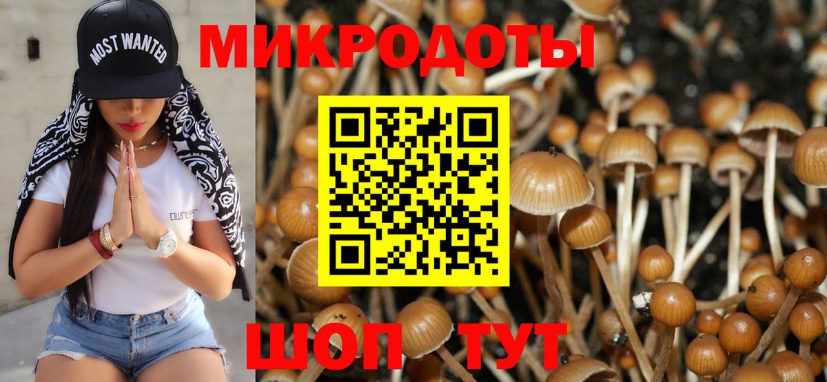 продажа наркотиков  Галлюциногенные грибы Psilocybe  Псилоцибиновые грибы мухоморы  Вход с VPN  Аксай 